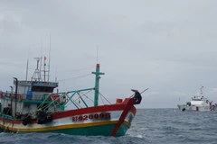 Tàu mang biển hiệu BT 92009 TS vận chuyển trái phép khoảng 80.000 lít dầu DO trên vùng biển Cà Mau. (Ảnh: TTXVN phát)