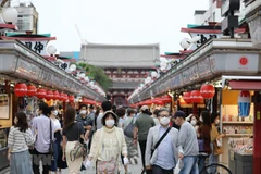 Ảnh minh họa. (Nguồn: THX/TTXVN) 