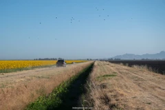 Ảnh minh họa.(Nguồn: Reuters)