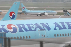 Máy bay của hãng hàng không quốc gia Korean Air. (Nguồn: Yonhap)