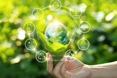 Ảnh minh họa. (Nguồn: AP)