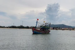 Ảnh minh họa. (Nguồn: TTXVN)