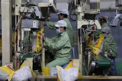 Chế biến gạo xuất khẩu. (Ảnh: Phạm Hậu/TTXVN) 