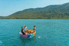 Ảnh minh họa.(Nguồn: Phan Sáu/TTXVN) 