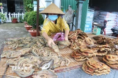 Khô cá lóc của Cơ sở Thanh Ngân được bày bán tại xã Phú Thọ, huyện Tam Nông, tỉnh Đồng Tháp. (Ảnh : Nguyễn Văn Trí/TTXVN)