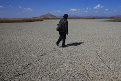 Nắng nóng khiến hồ nước cao nhất thế giới Titicaca dần khô cạn