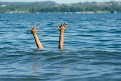 Ảnh minh họa. (Nguồn: aliem.com) 