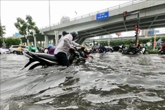 Nước ngập đến hơn nửa mét khiến người dân TP Hồ Chí Minh di chuyển hết sức khó khăn. (Nguồn: TTXVN)