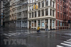 Ảnh minh họa (Nguồn: TTXVN)