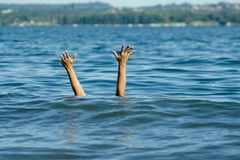 Ảnh minh họa. (Nguồn: aliem.com) 