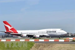 Máy bay của hãng hàng không Qantas Airways tại sân bay Sydney, Australia. (Nguồn: AFP/TTXVN) 