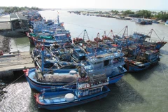 (Ảnh: Nguyễn Thành/TTXVN)