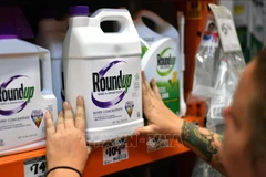Thuốc diệt cỏ Roundup được bày bán tại cửa hàng ở San Rafael, California, Mỹ. Ảnh: AFP/TTXVN 