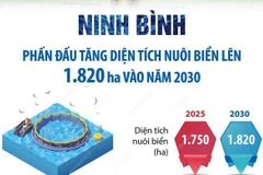 Ninh Bình phấn đấu tăng diện tích nuôi biển lên 1.820 ha vào năm 2030