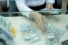 Ảnh minh họa. (Nguồn: Vietnam+) 
