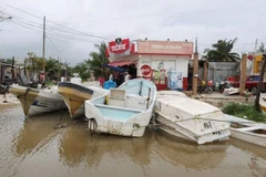 Tàu thuyền được neo tại cảng để tránh bão Milton tại Celestun, Mexico, ngày 8/10/2024. (Ảnh: Reuters/ TTXVN)