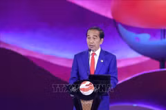 Tổng thống Indonesia Joko Widodo. (Ảnh: Dương Giang/TTXVN)