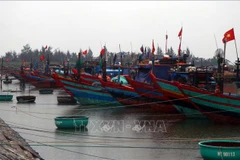 Tàu, thuyền vào neo đậu ở âu thuyền Cửa Sót huyện Lộc Hà. (Ảnh: Công Tường/TTXVN)