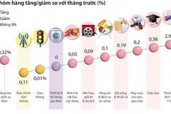 Chỉ số Giá tiêu dùng tháng 11/2023 tăng 0,25% so với tháng trước 