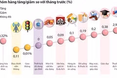 Chỉ số Giá tiêu dùng tháng 11/2023 tăng 0,25% so với tháng trước 