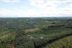 Một khu vực thuộc địa phận huyện Đắk R’lấp, tỉnh Đắk Nông, nơi dự kiến đường cao tốc Gia Nghĩa (Đắk Nông) - Chơn Thành (Bình Phước) đi qua. (Ảnh: Hưng Thịnh/TTXVN)