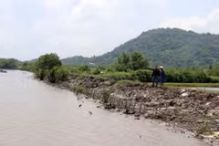 Ảnh minh họa.(Nguồn: Lê Huy Hải/TTXVN) 