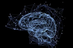 Ảnh minh họa (Nguồn: TechForge)