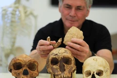 Ảnh minh họa. (Nguồn: Getty Images)