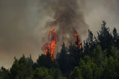 Lửa cháy bùng phát ở miền Bắc Israel sau khi trúng tên lửa được phóng từ miền Nam Liban, ngày 4/7/2024. (Ảnh: THX/TTXVN)