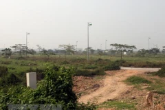 (Ảnh minh họa: Tuấn Anh/TTXVN) 