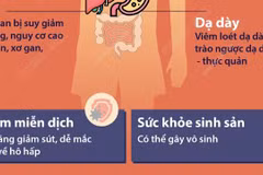 Những tác hại của rượu bia đối với sức khỏe 