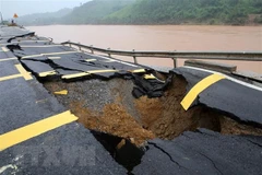 Ảnh minh họa (Nguồn: Hồ Cầu/TTXVN)