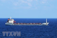 Mỹ-Ukraine tính toán về một thỏa thuận ngũ cốc không có Nga tham gia