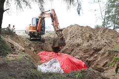 Xác cá voi được chôn cất chu đáo theo phong tục, tín ngưỡng của ngư dân miền biển. (Ảnh: Xuân Tiến/TTXVN)