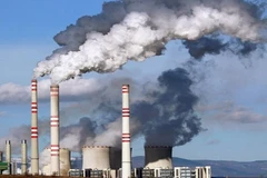 Ảnh minh họa.(Nguồn: GettyImages)