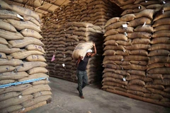 Ảnh minh họa.( Nguồn: ANI/TTXVN)