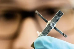 Thụy Điển phát triển thành công transistor bằng gỗ đầu tiên thế giới