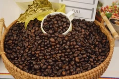 (Ảnh: Hoài Thu/TTXVN) 