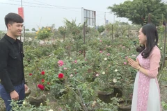 Vườn hoa của gia đình anh Nguyễn Văn Hoàng (thôn Hạ Lôi, xã Mê Linh, huyện Mê Linh, Hà Nội) "hồi sinh" đua sắc chào đón Tết Tân Sửu 2021. (Ảnh: Minh Nghĩa/TTXVN)
