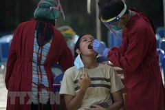 Nhân viên y tế lấy mẫu xét nghiệm COVID-19 tại Jakarta, Indonesia. (Ảnh: THX/TTXVN) 