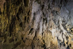 Khám phá hang động Tú Làn 