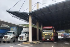 Quảng Trị khẩn trương xây dựng hai tuyến đường kết nối Đông-Tây