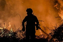 Ảnh minh họa (Nguồn: AFP/TTXVN)