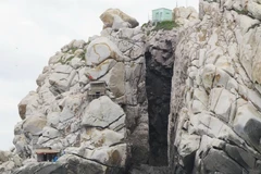Một hang yến trên đảo trong Vịnh Nha Trang. (Ảnh: Tiên Minh/TTXVN) 