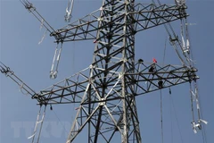 Tiền Giang: Đưa 12 công trình điện phục vụ sản xuất và đời sống