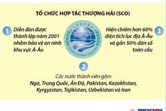Hội nghị thượng đỉnh khẳng định vai trò của SCO 