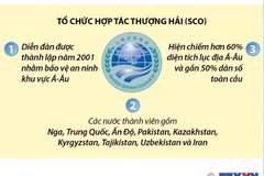 Hội nghị thượng đỉnh khẳng định vai trò của SCO 