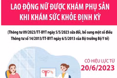 Từ 20/6/2023, lao động nữ được khám phụ sản khi khám sức khỏe định kỳ