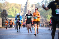 Ảnh minh họa. (Nguồn: AIMS)