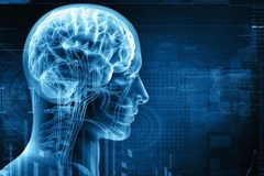 Ảnh minh họa. (Nguồn:: AFP)